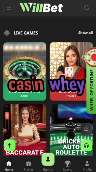 Casin Whey - Unique Casino & Fitness Rewards-www.bdqngd.com